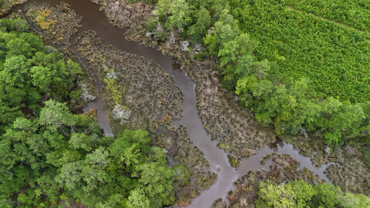 214 AC of Land with Creek Frontage & Investment Potential
