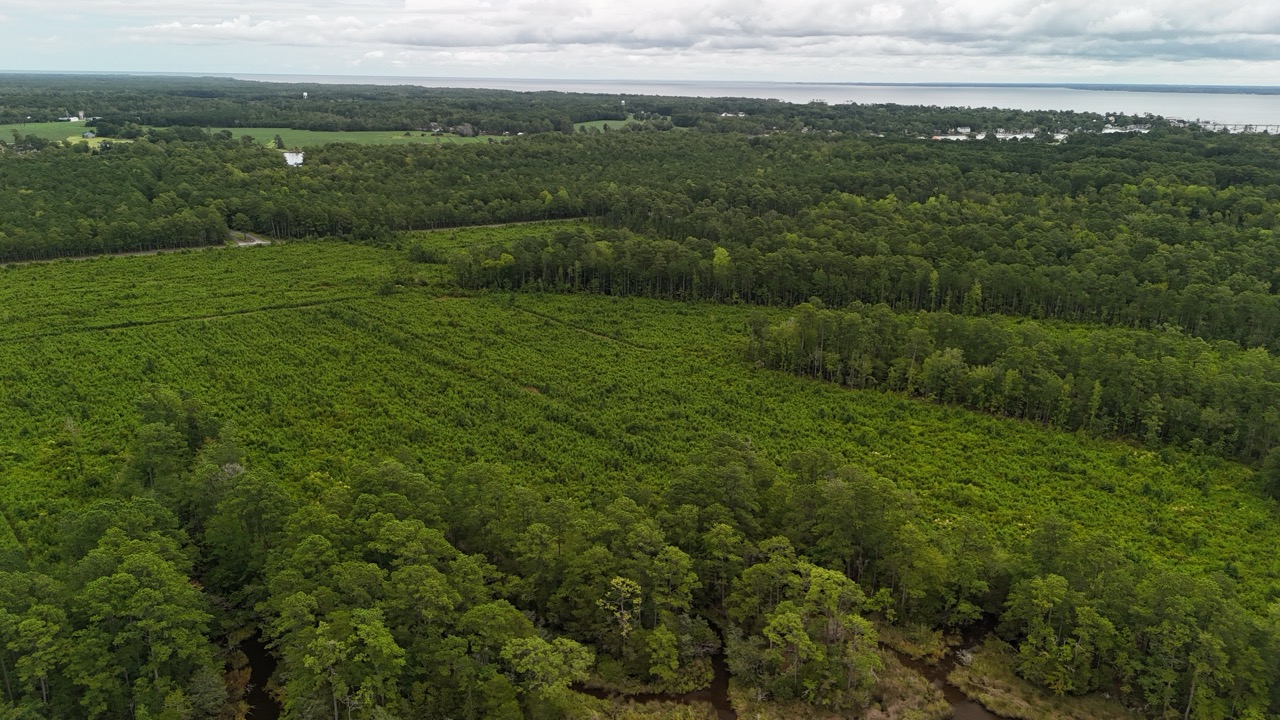 214 AC of Land with Creek Frontage & Investment Potential