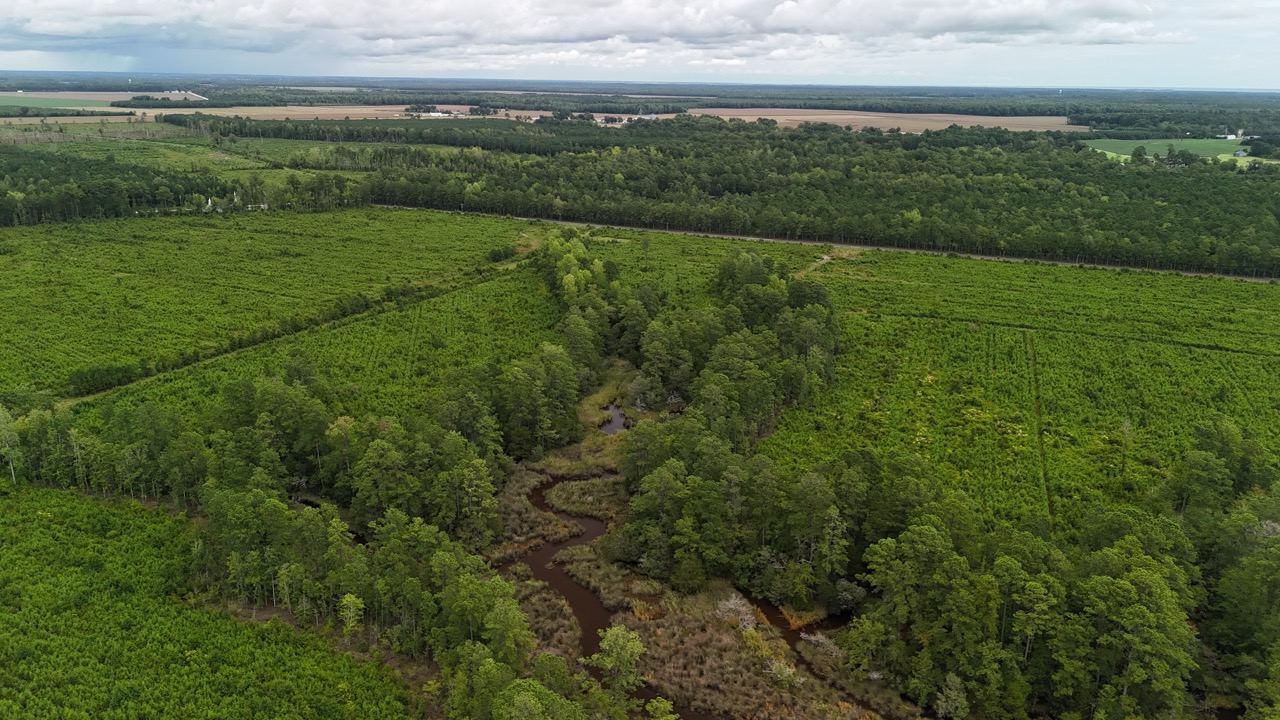 214 AC of Land with Creek Frontage & Investment Potential