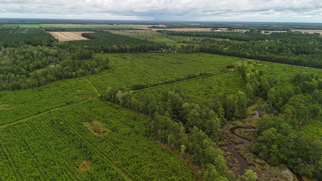 214 AC of Land with Creek Frontage & Investment Potential