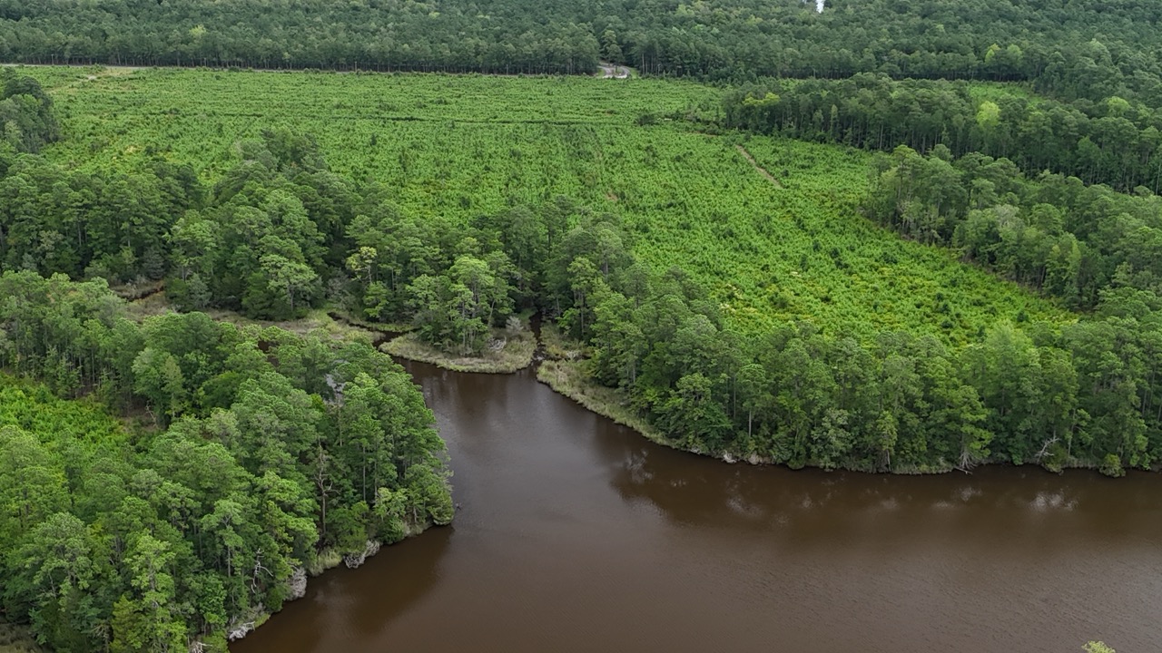 214 AC of Land with Creek Frontage & Investment Potential