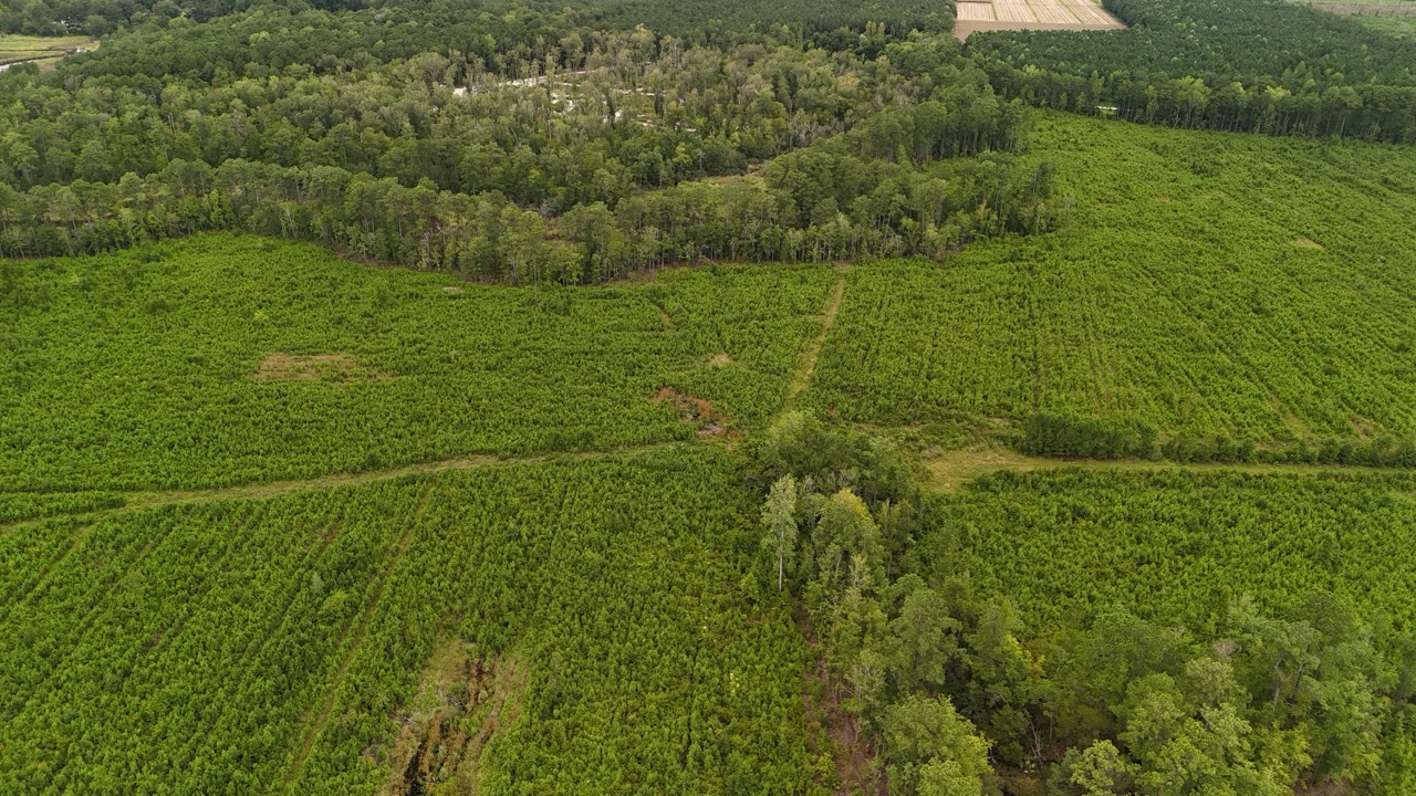 214 AC of Land with Creek Frontage & Investment Potential
