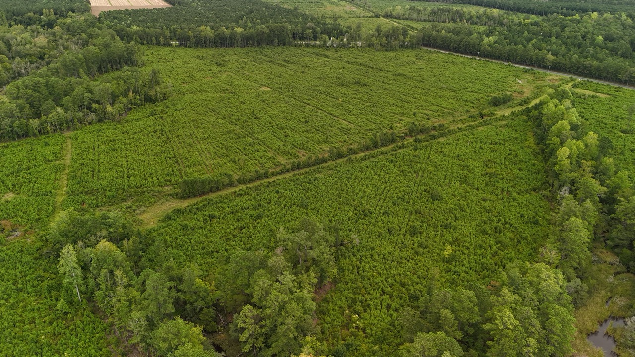 214 AC of Land with Creek Frontage & Investment Potential
