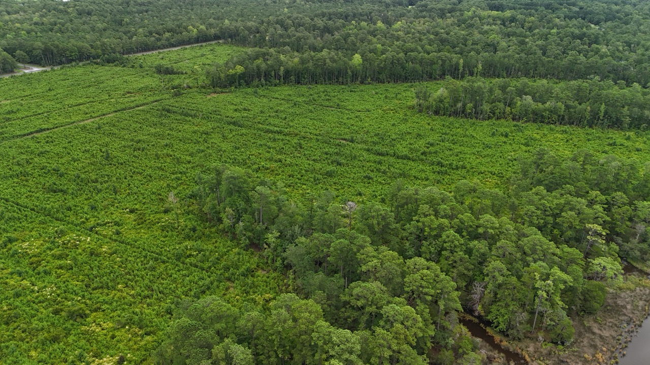 214 AC of Land with Creek Frontage & Investment Potential
