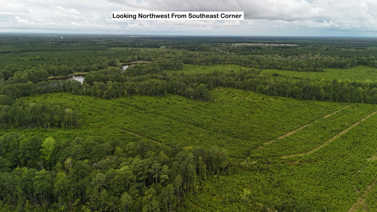 214 AC of Land with Creek Frontage & Investment Potential
