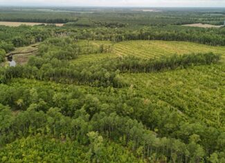 462 AC in Pamlico County – Hunt, Ride, Build, Invest