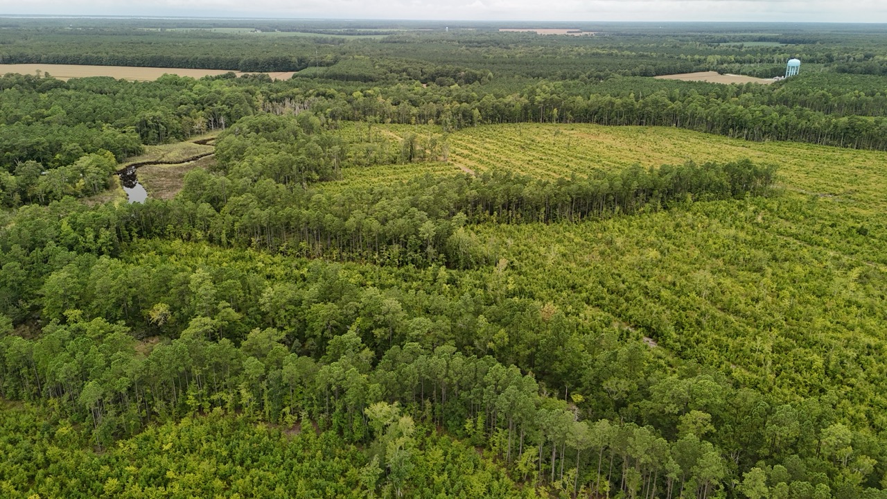 462 AC in Pamlico County – Hunt, Ride, Build, Invest