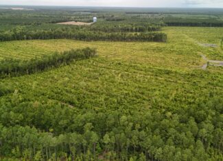 462 AC in Pamlico County – Hunt, Ride, Build, Invest