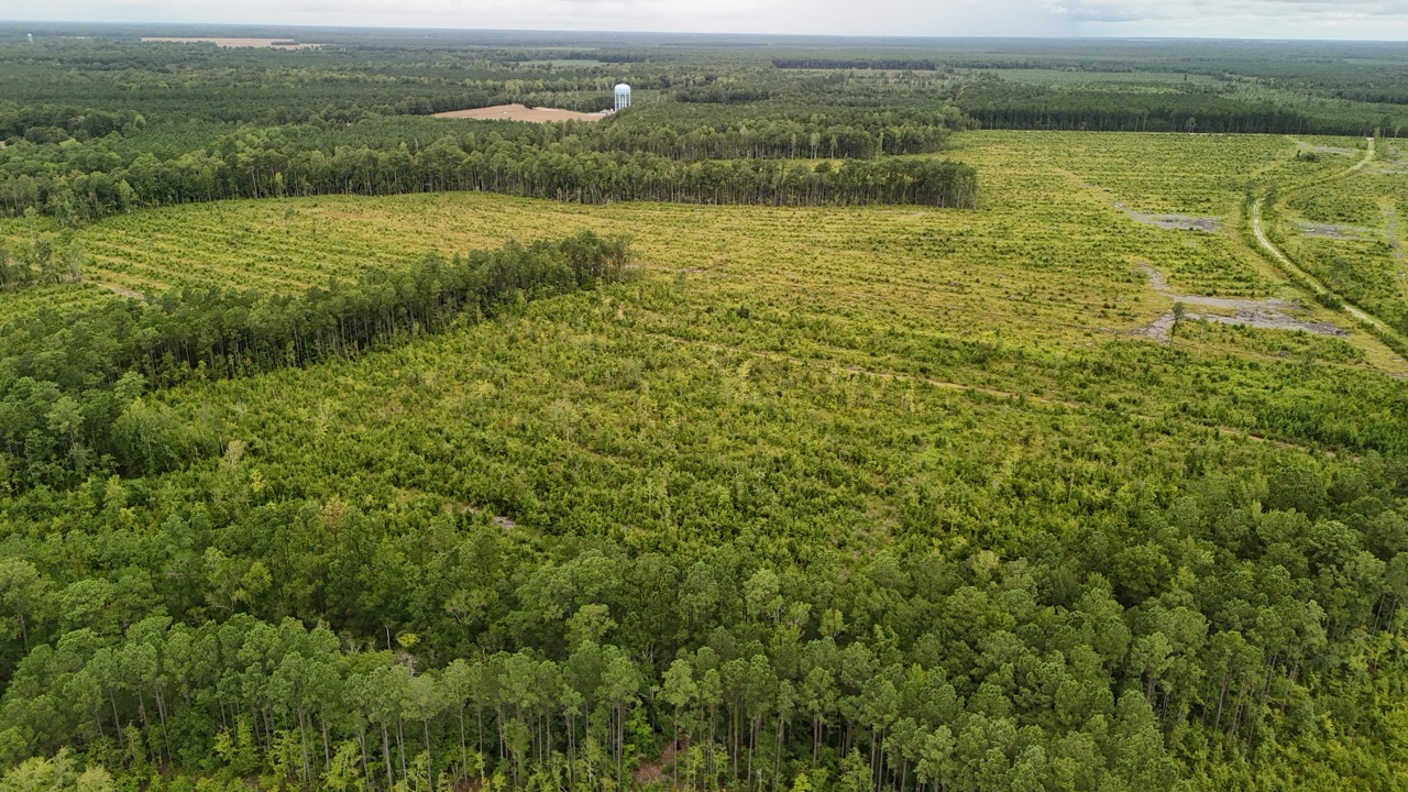 462 AC in Pamlico County – Hunt, Ride, Build, Invest