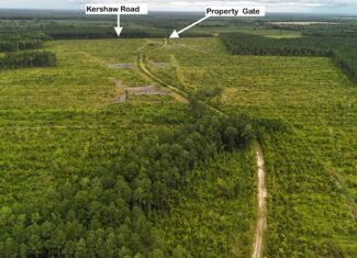 462 AC in Pamlico County – Hunt, Ride, Build, Invest