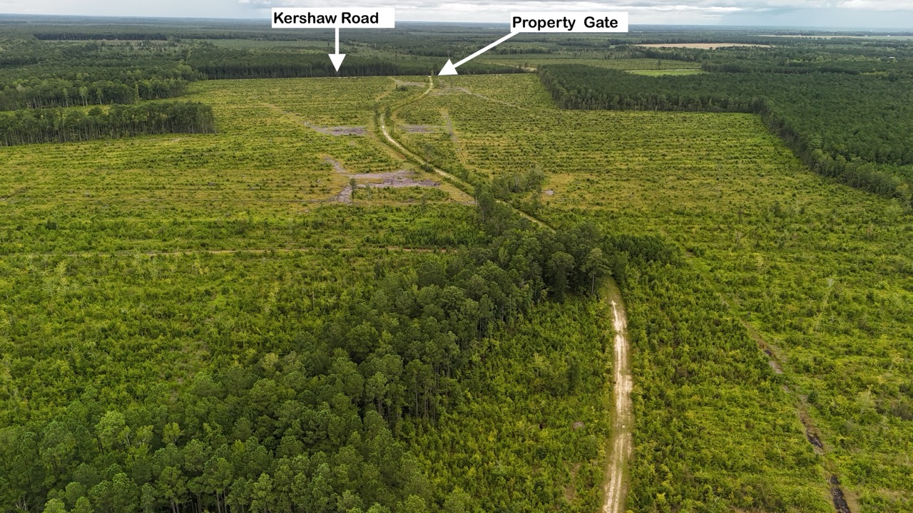 462 AC in Pamlico County – Hunt, Ride, Build, Invest