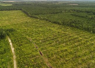 462 AC in Pamlico County – Hunt, Ride, Build, Invest