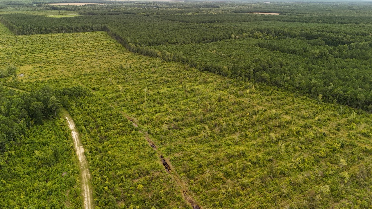 462 AC in Pamlico County – Hunt, Ride, Build, Invest