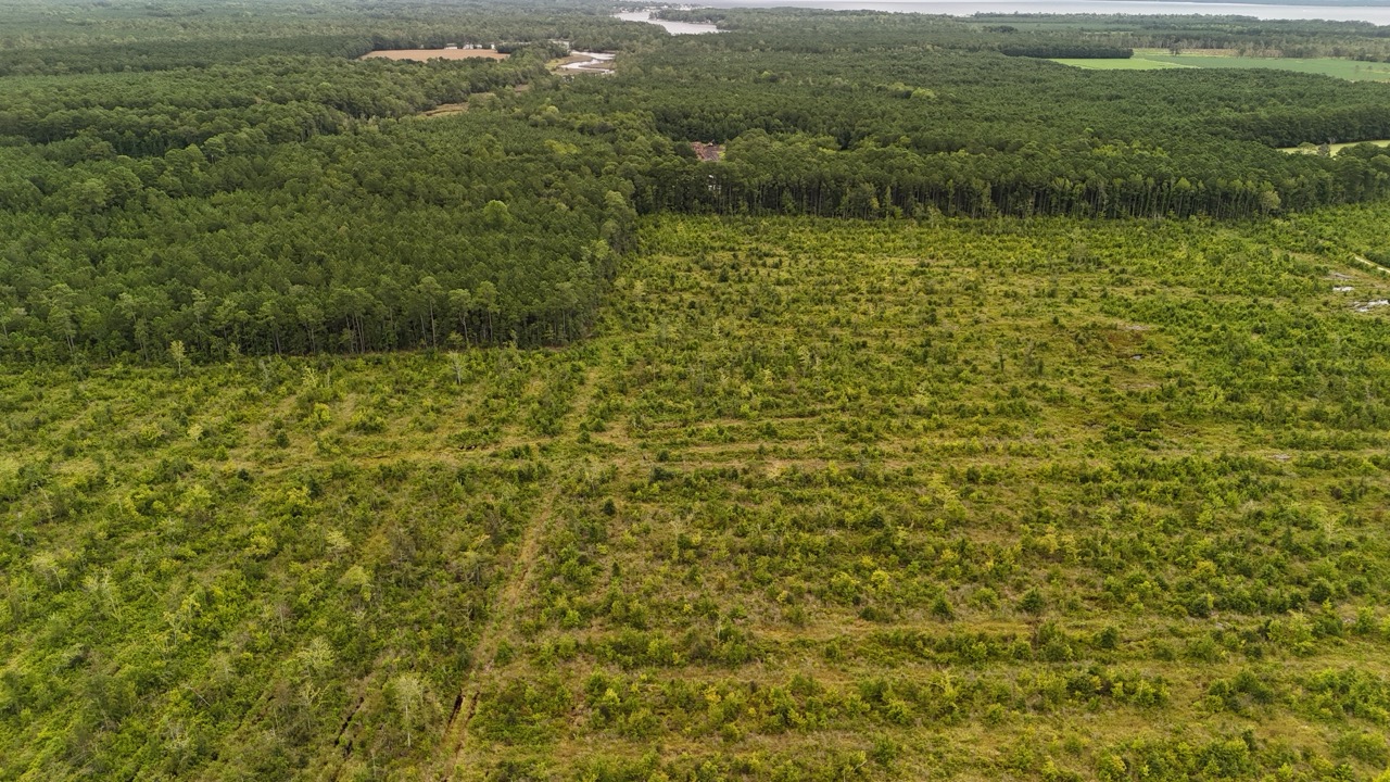 462 AC in Pamlico County – Hunt, Ride, Build, Invest