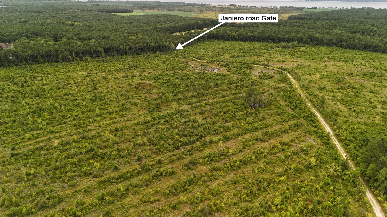 462 AC in Pamlico County – Hunt, Ride, Build, Invest