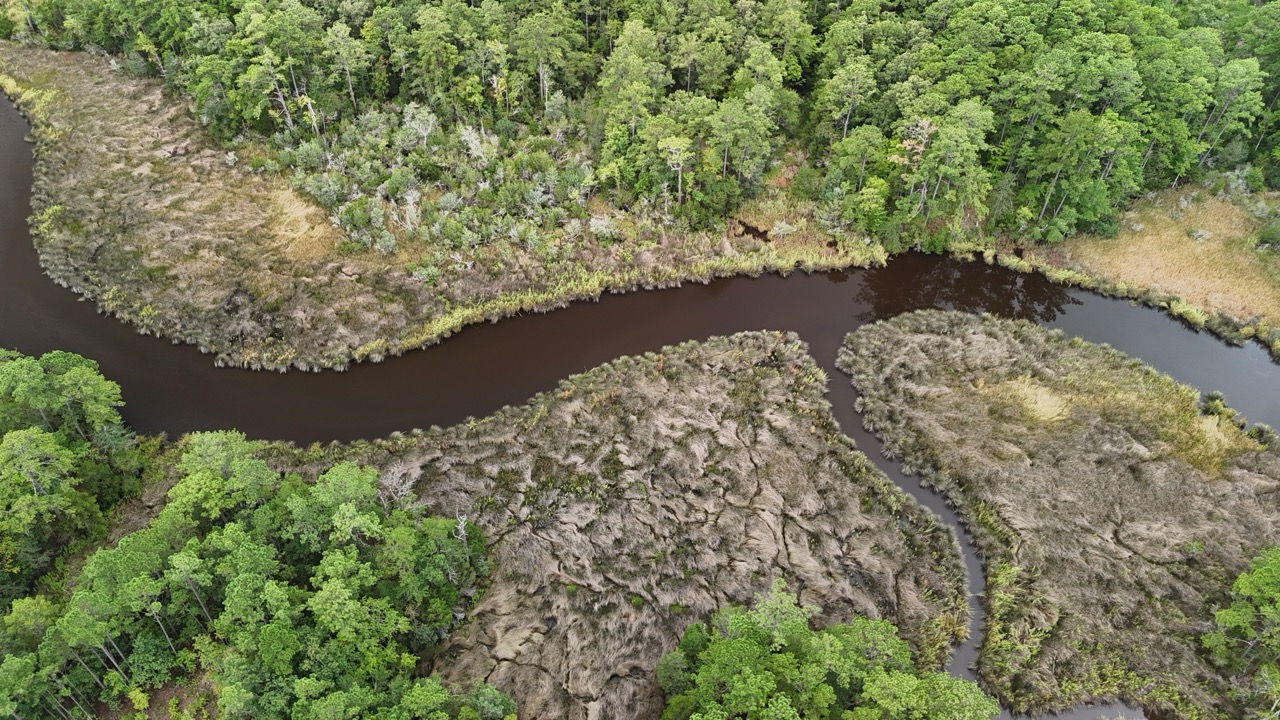 462 AC in Pamlico County – Hunt, Ride, Build, Invest