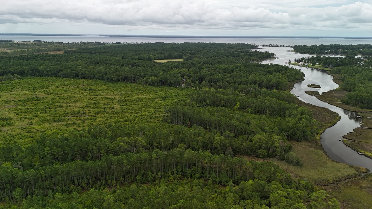 462 AC in Pamlico County – Hunt, Ride, Build, Invest