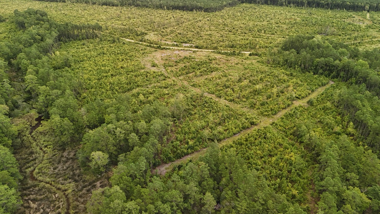 462 AC in Pamlico County – Hunt, Ride, Build, Invest