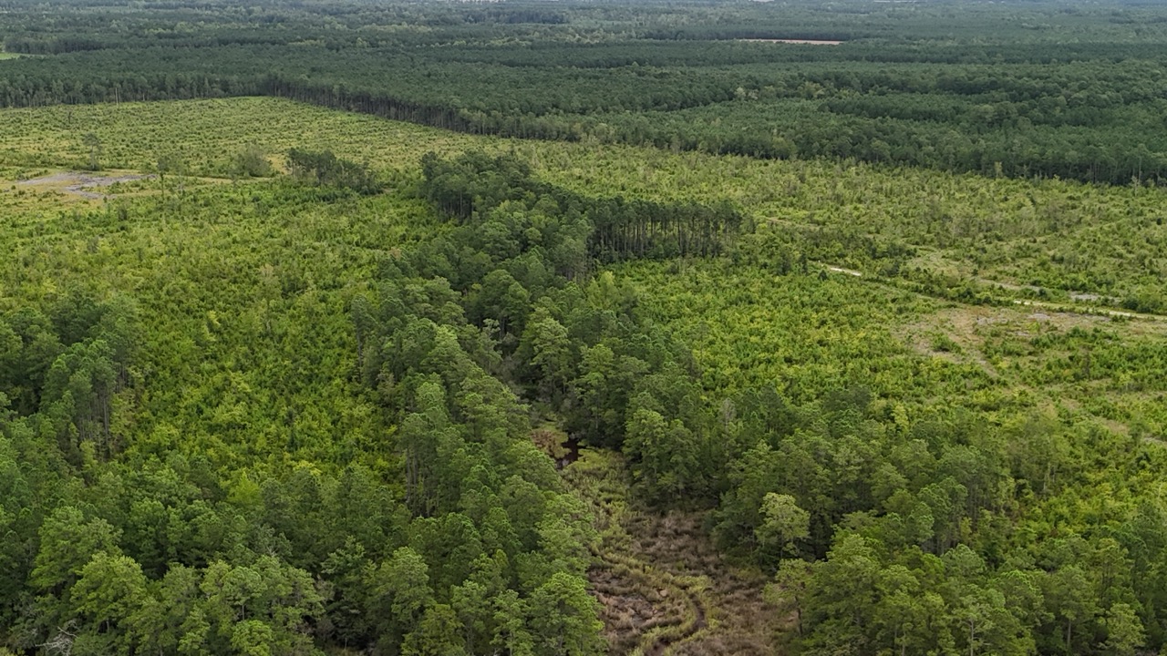 462 AC in Pamlico County – Hunt, Ride, Build, Invest