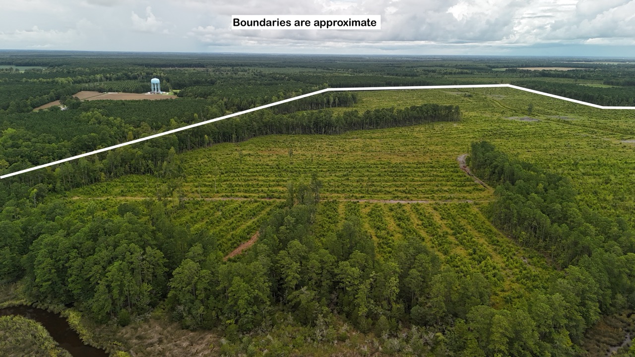 462 AC in Pamlico County – Hunt, Ride, Build, Invest