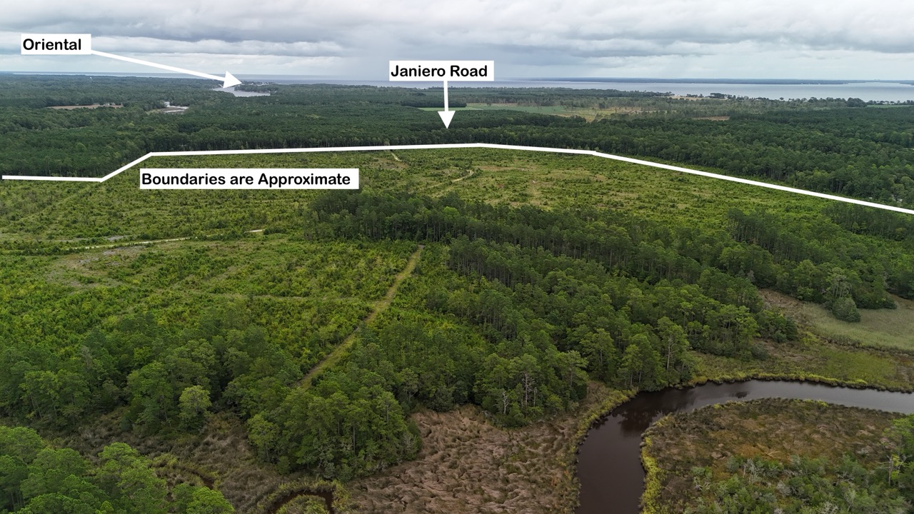 462 AC in Pamlico County – Hunt, Ride, Build, Invest