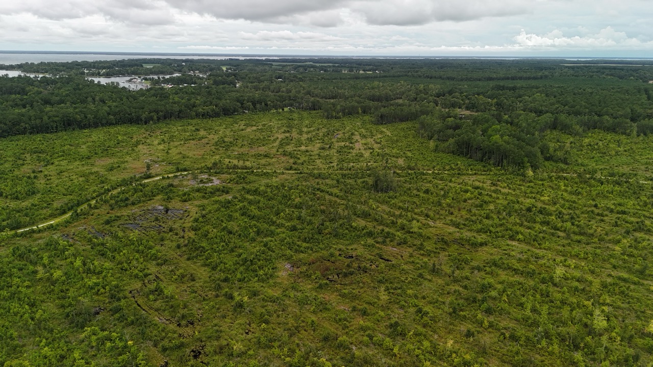 462 AC in Pamlico County – Hunt, Ride, Build, Invest