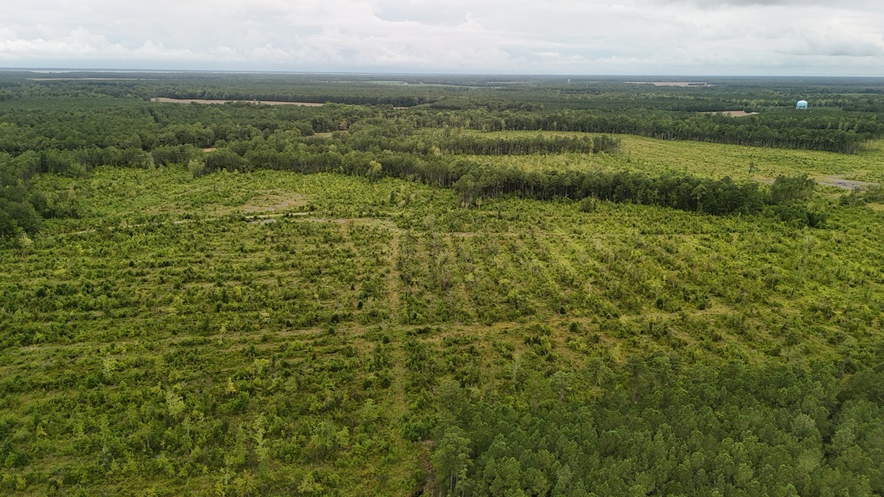 462 AC in Pamlico County – Hunt, Ride, Build, Invest