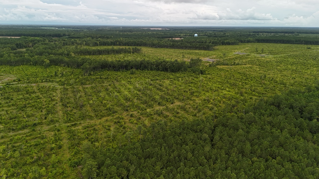 462 AC in Pamlico County – Hunt, Ride, Build, Invest