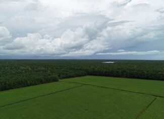 Rare 210-AC Tract with Green’s Creek Frontage