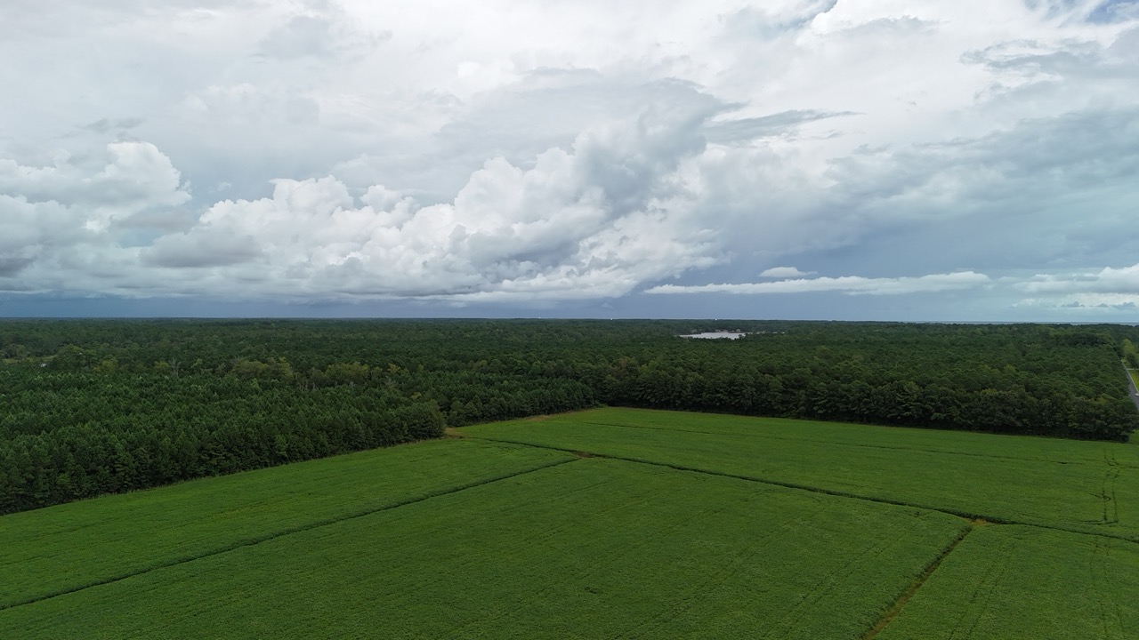 Rare 210-AC Tract with Green’s Creek Frontage