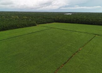Rare 210-AC Tract with Green’s Creek Frontage