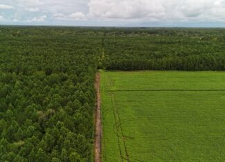 Rare 210-AC Tract with Green’s Creek Frontage