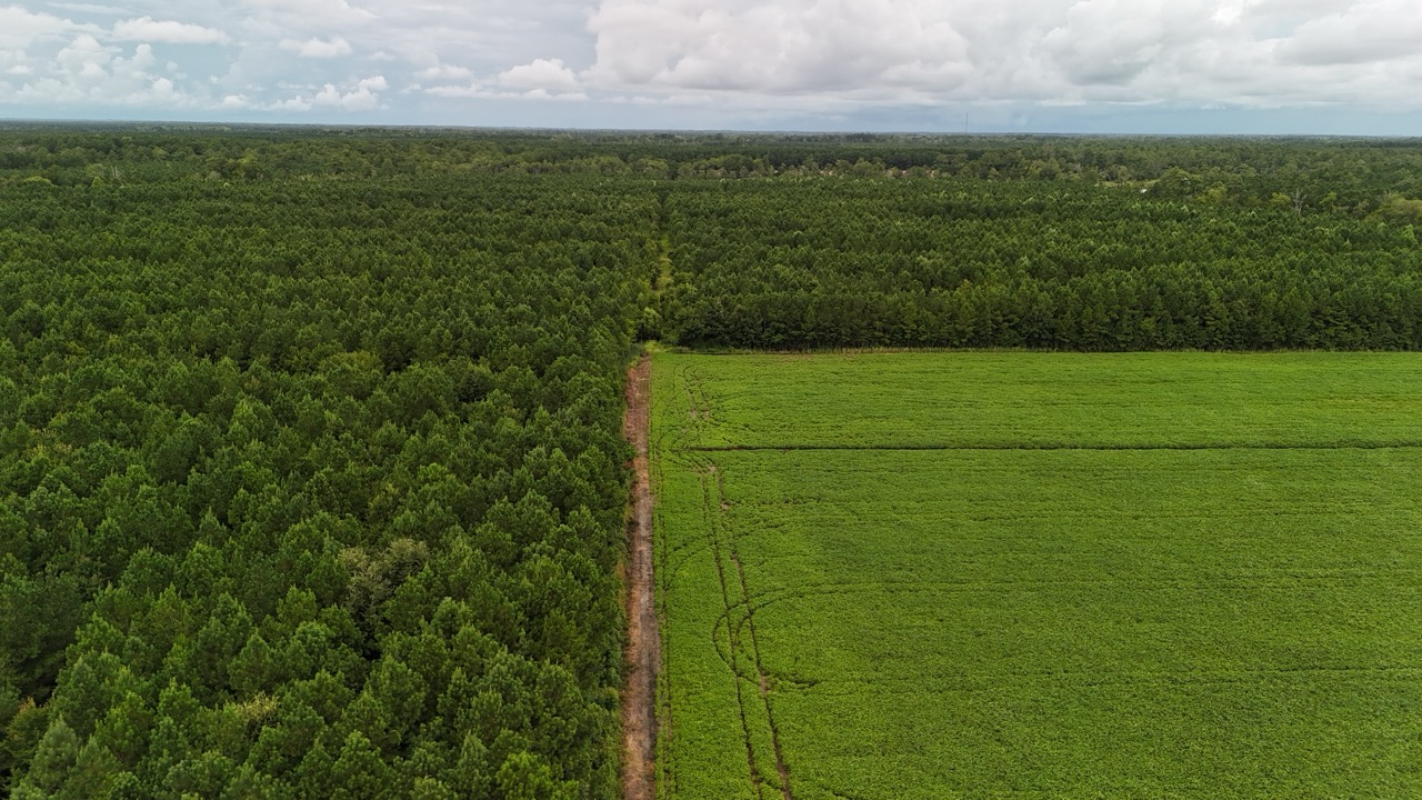 Rare 210-AC Tract with Green’s Creek Frontage