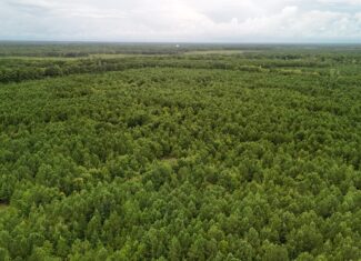 Rare 210-AC Tract with Green’s Creek Frontage