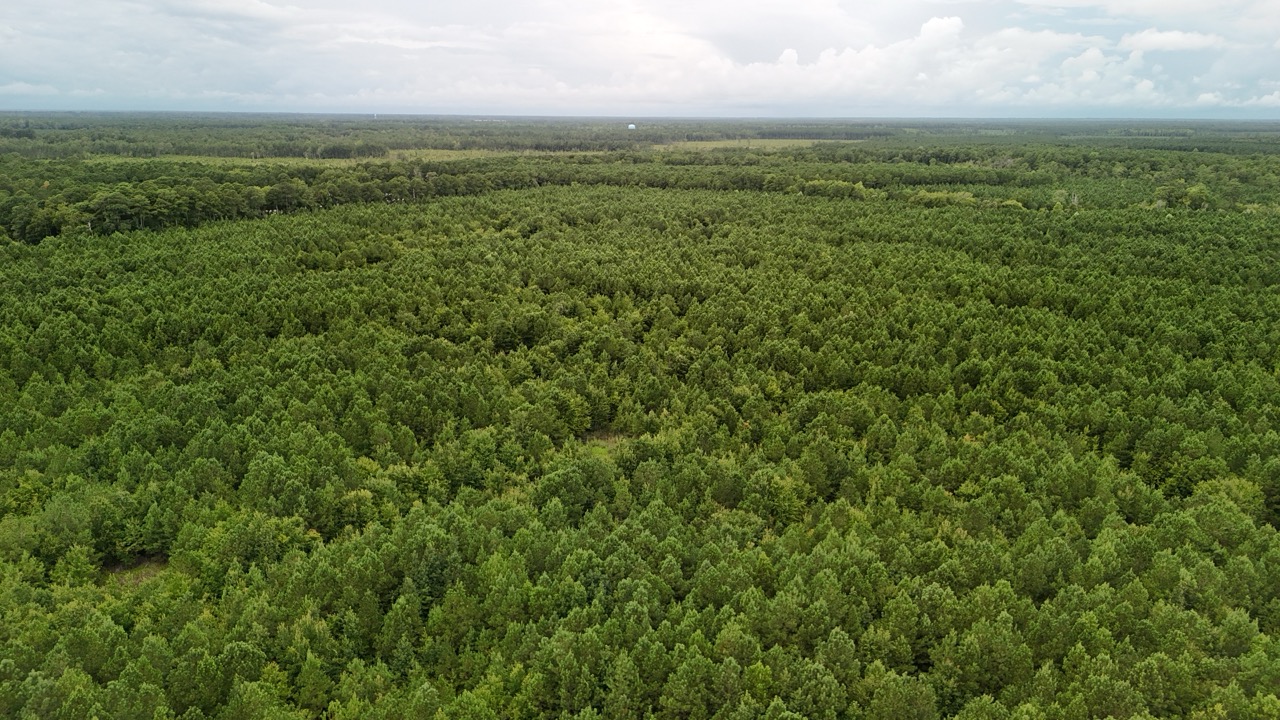 Rare 210-AC Tract with Green’s Creek Frontage