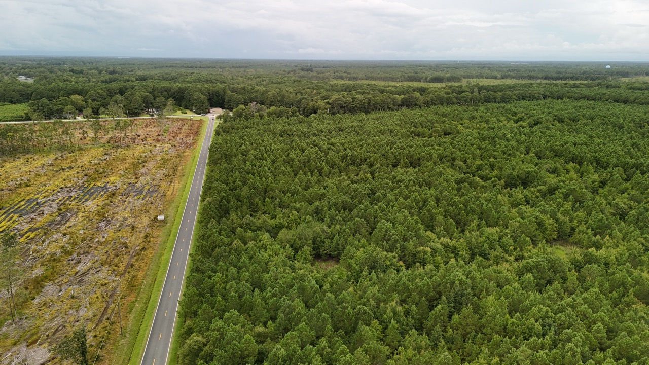 Rare 210-AC Tract with Green’s Creek Frontage