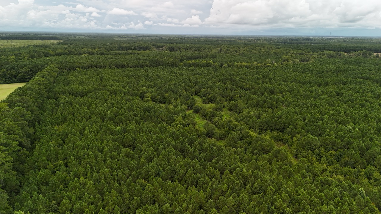 Rare 210-AC Tract with Green’s Creek Frontage