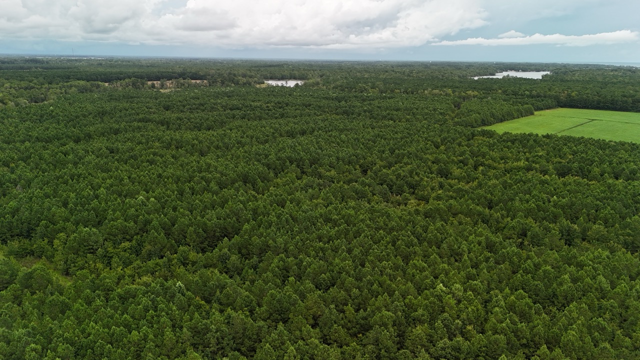 Rare 210-AC Tract with Green’s Creek Frontage