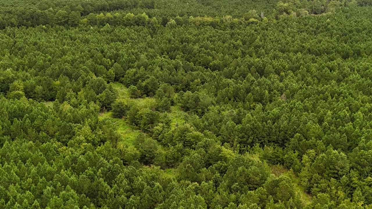 Rare 210-AC Tract with Green’s Creek Frontage