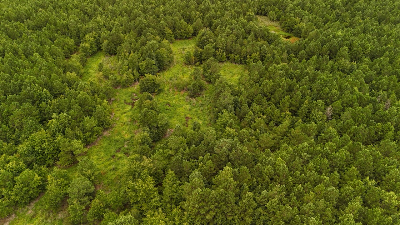 Rare 210-AC Tract with Green’s Creek Frontage