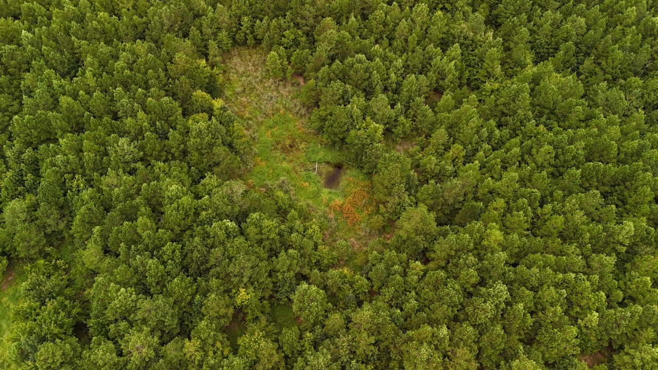 Rare 210-AC Tract with Green’s Creek Frontage