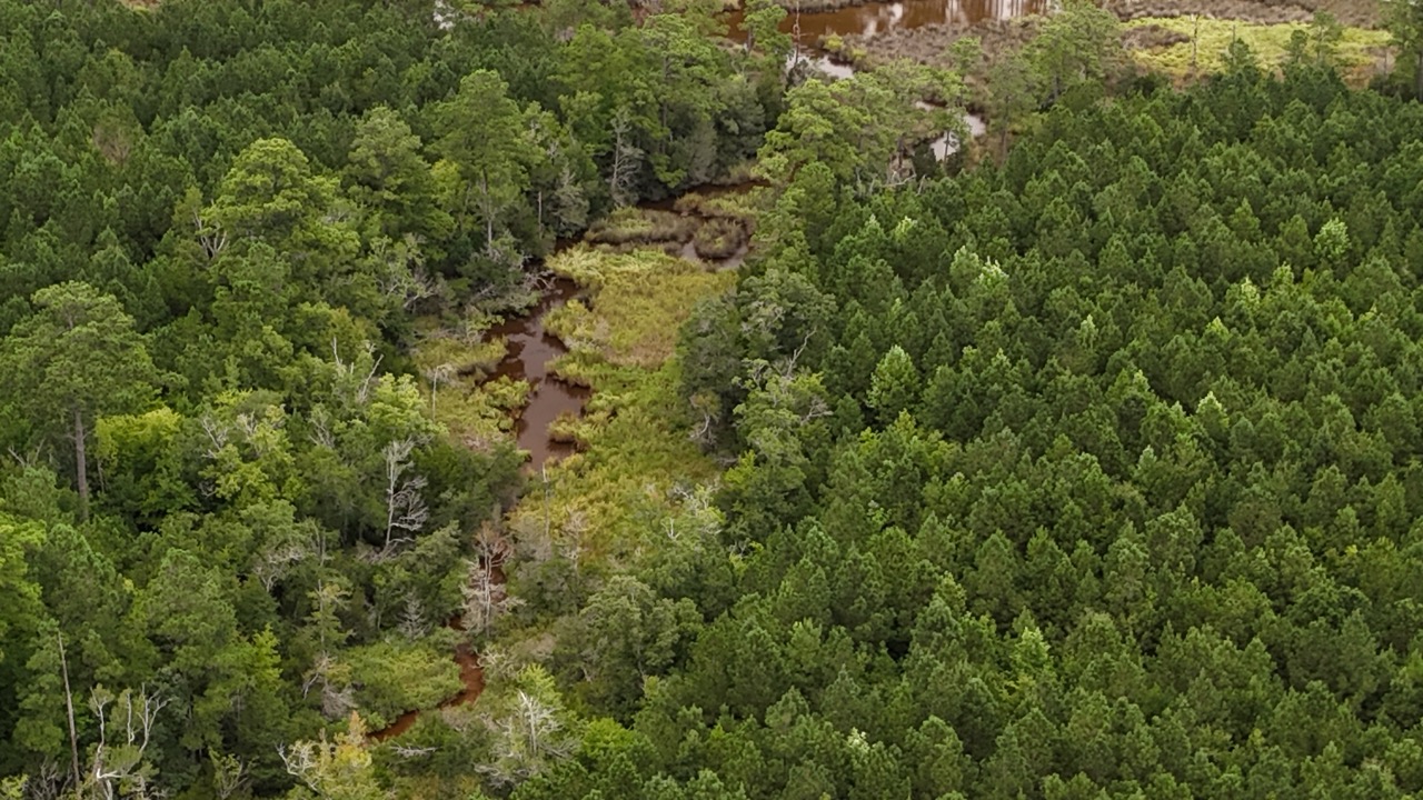 Rare 210-AC Tract with Green’s Creek Frontage