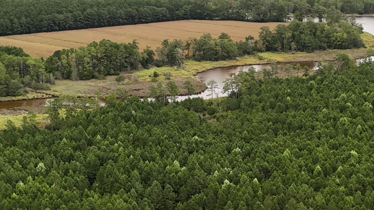 Rare 210-AC Tract with Green’s Creek Frontage