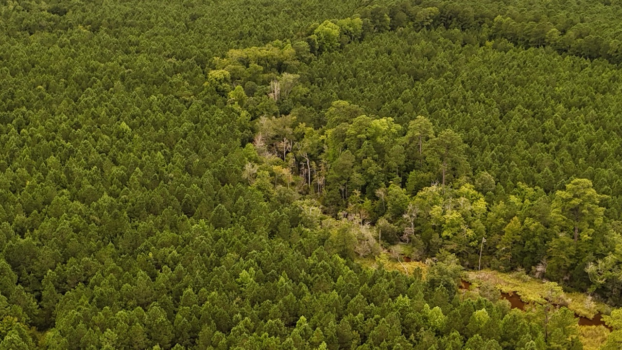 Rare 210-AC Tract with Green’s Creek Frontage