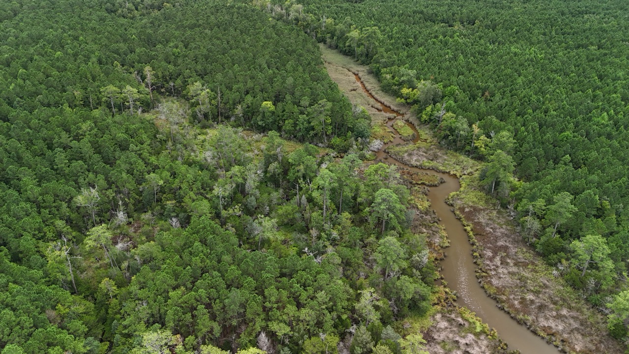 Rare 210-AC Tract with Green’s Creek Frontage