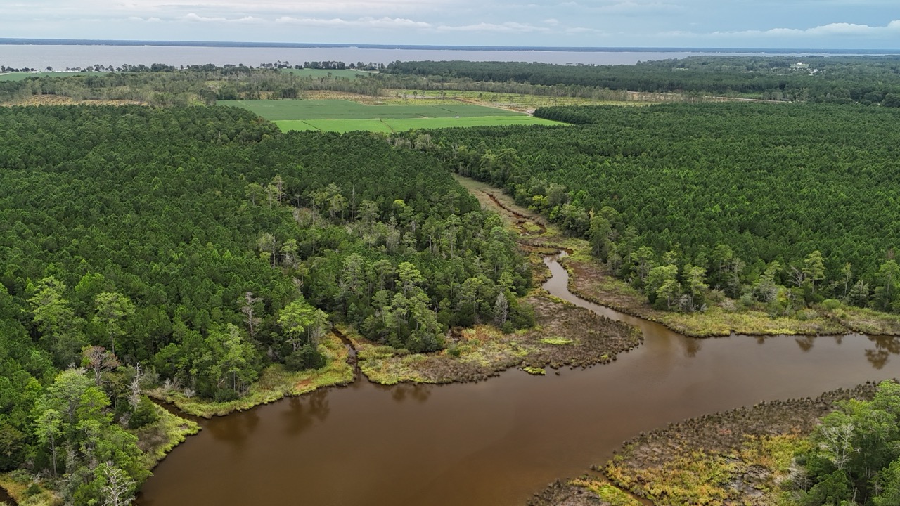 Rare 210-AC Tract with Green’s Creek Frontage