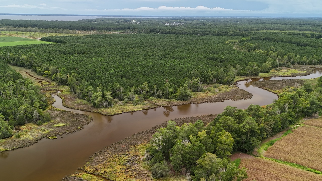 Rare 210-AC Tract with Green’s Creek Frontage