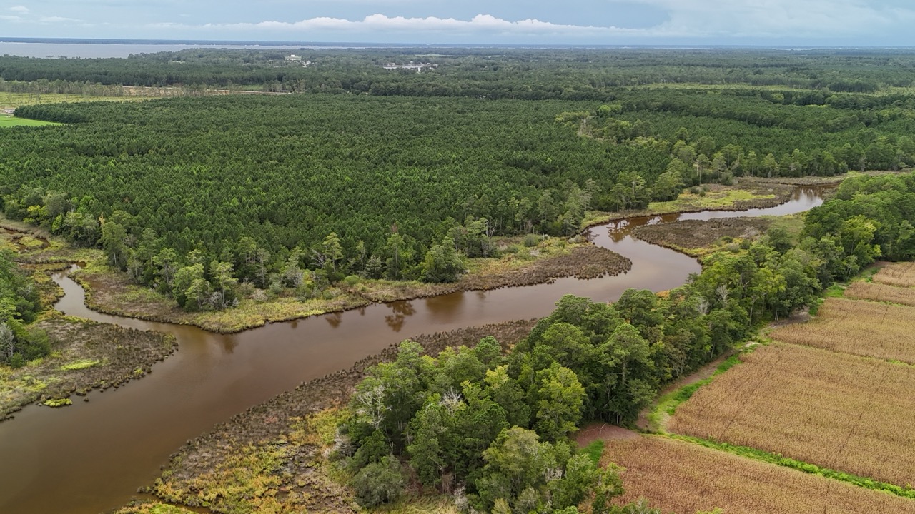 Rare 210-AC Tract with Green’s Creek Frontage
