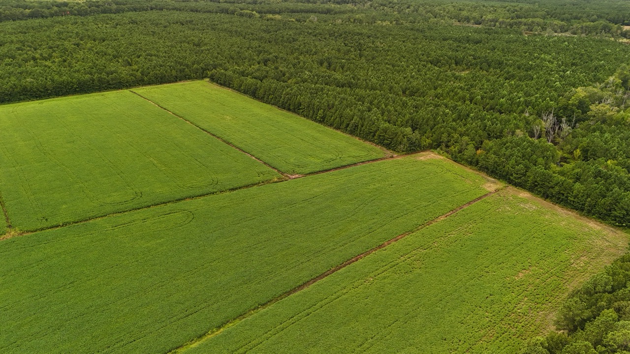 Rare 210-AC Tract with Green’s Creek Frontage