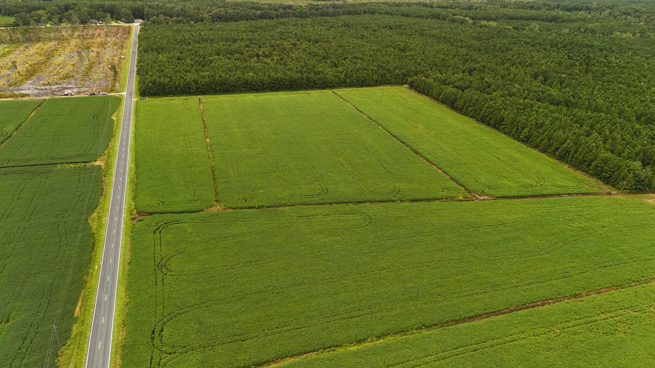 Rare 210-AC Tract with Green’s Creek Frontage